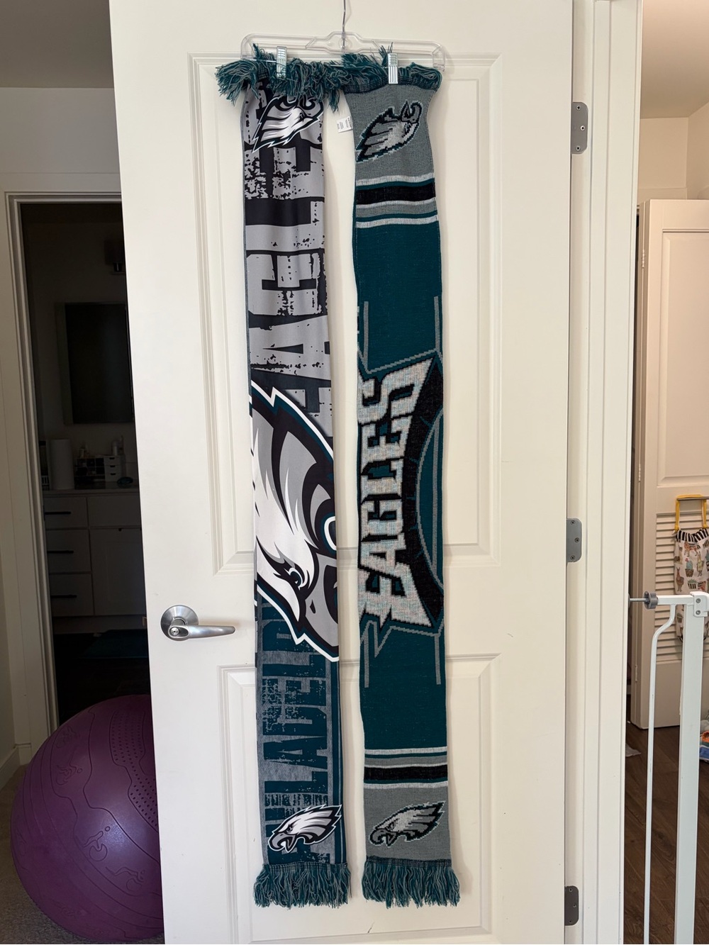 NFL Philadelphia Eagles Scarf Bundle
